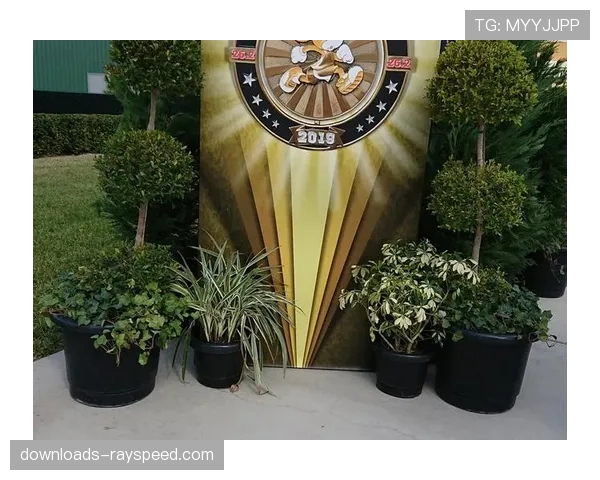 迪士尼与ESPN宣布拆分体育流媒体业务，独立平台“ESPN+”将于今秋全球上线